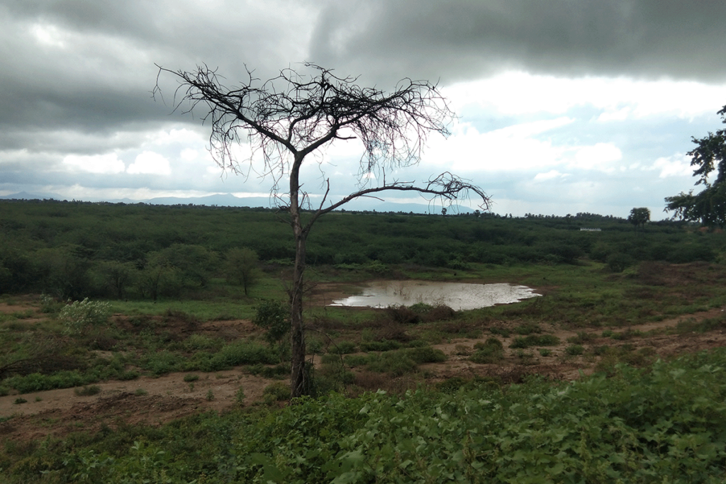 Udayampatti tank, Karur