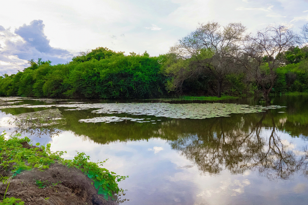 Kolarampathi Tank, Coimbatore